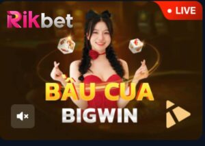 Bau Cua Bigwin Rikbet Cach Choi Va Nhung Dieu Can Biet