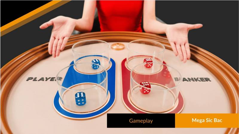 Chọn cược và đặt tiền