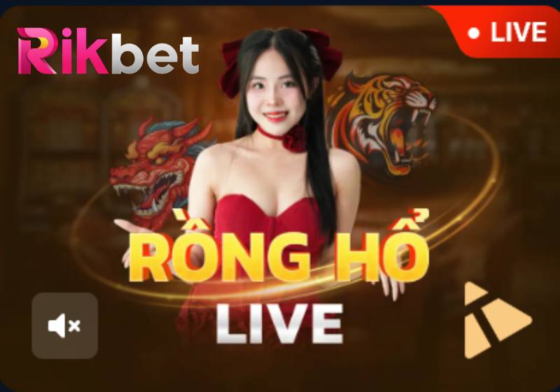 Luật Chơi Dragon Tiger Live Tại Rikbet Kèm Mẹo Chuẩn Chỉ
